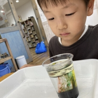 ④ 油と水の不思議な関係