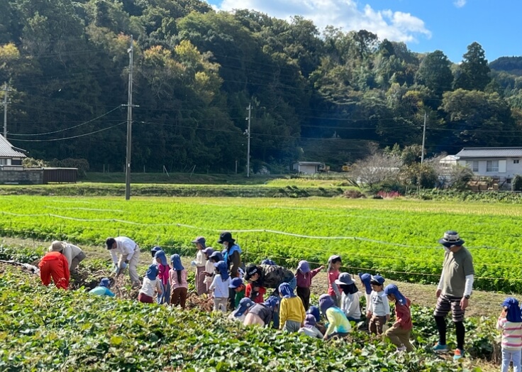 森のほいく・島のほいく